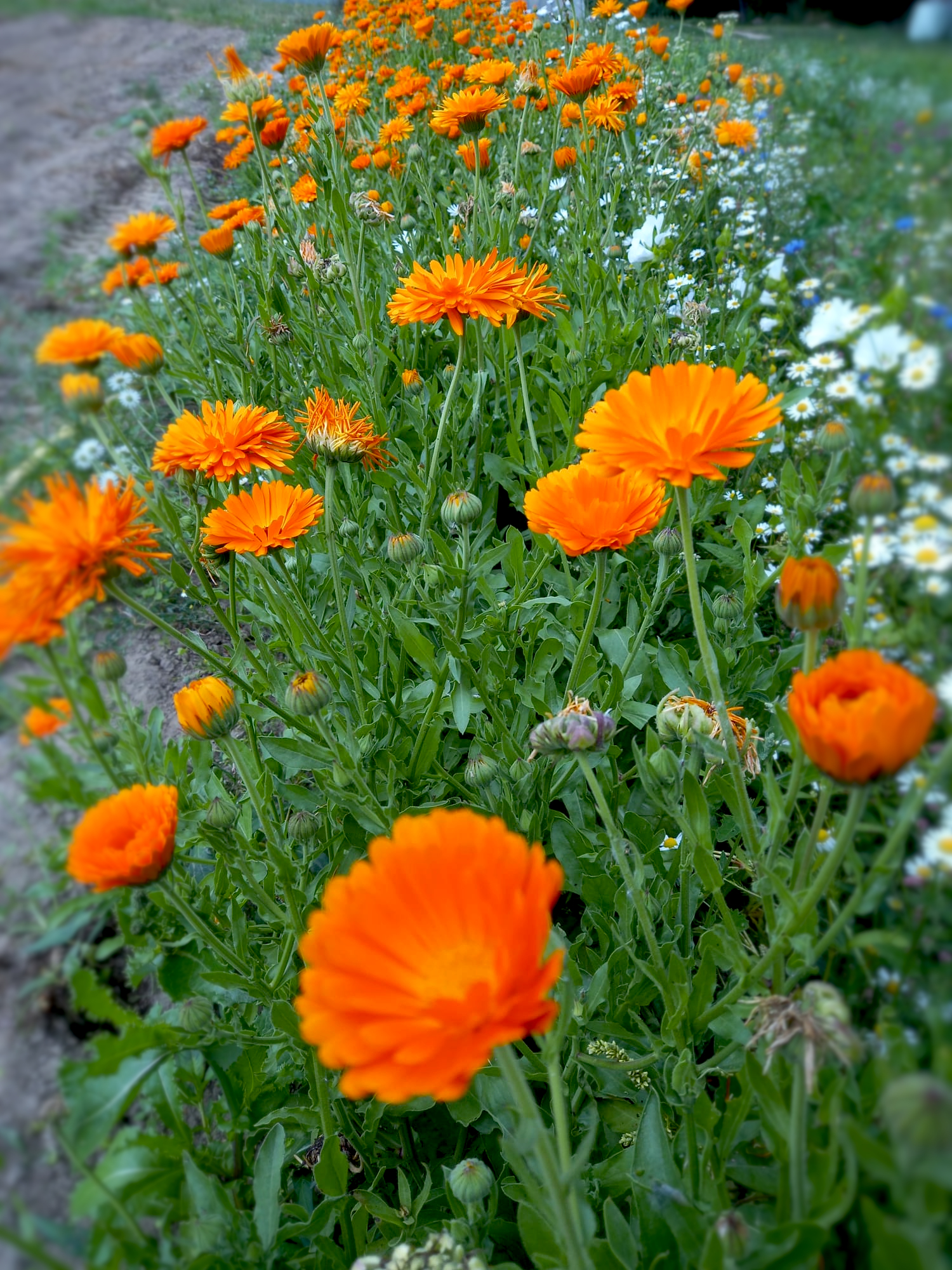 IMG-20230106-WA0008a